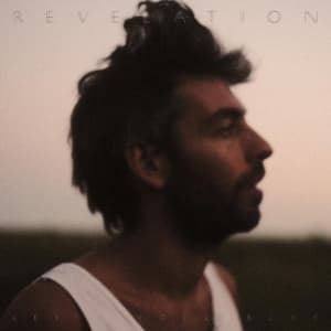 Vollebekk Leif - Revelation (LP)
