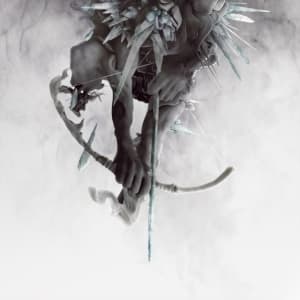 Linkin Park - The Hunting Party (Ltd Color 2LP) (LP)