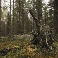 Nordvisor - Ett Samlingsverk Från Nordvis (Blac (LP)