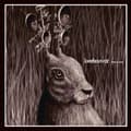 Miniatyrbild 1 av 2: Beehoover - Heavy Zooo (LP)