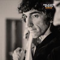 Delicate Steve - Delicate Steve Sings (LP)