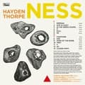 Pikkukuva 1 / 2: Hayden Thorpe - Ness (LP)