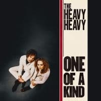 Heavy Heavy The - One Of A Kind (LP)