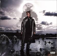 Juice Wrld - Fighting Demons (LP)