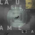 Pikkukuva 2 / 2: Laurie Anderson - Amelia (LP)