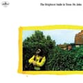 Miniatyrbilde 1 av 2: Dr. John - The Brightest Smile In Town (LP)