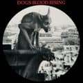 Pikkukuva 1 / 2: Current 93 - Dogs Blood Rising (Picture Disc Vin (LP)