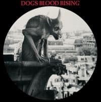 Current 93 - Dogs Blood Rising (Picture Disc Vin (LP)