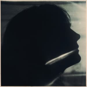 Sarah Blasko - I Just Need To Conquer This Mo (LP)