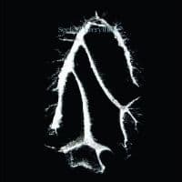 Seefeel - Everything Squared (LP)