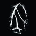 Pikkukuva 1 / 2: Seefeel - Everything Squared (LP)