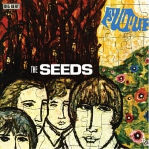 Seeds The - Future (Deluxe) (LP)