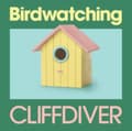 Miniatyrbilde 2 av 2: Cliffdiver - Birdwatching (Baby Blue Bird Vinyl) (LP)
