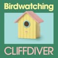 Miniatyrbilde 1 av 2: Cliffdiver - Birdwatching (Baby Blue Bird Vinyl) (LP)