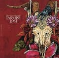 Pikkukuva 2 / 2: Paradise Lost - Draconian Times Mmxi (2 Lp Gold Vin (LP)