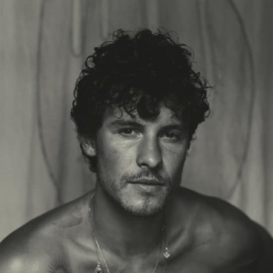 Shawn Mendes - Shawn (Vinyl) (LP)