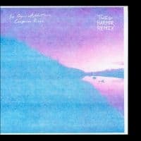Six Organs Of Admittance - Companion Rises (Twig Harper Remix) (LP)