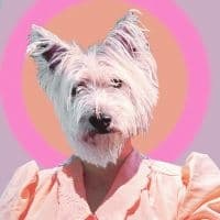 Litku Klemetti - Funny Girl (LP)
