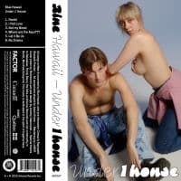 Blue Hawaii - Under 1 House (LP)
