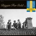 Pikkukuva 2 / 2: Various Artists - Diggin' For Gold Vol 15 (LP)
