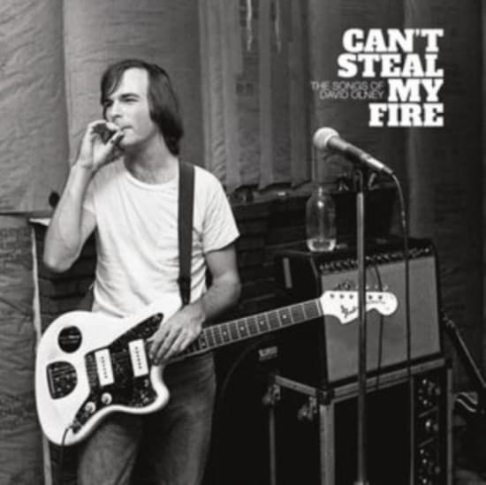 Various Artists - Can't Steal My Fire: The Songs Of D (LP)