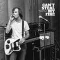 Miniatyrbild 2 av 2: Various Artists - Can't Steal My Fire: The Songs Of D (LP)