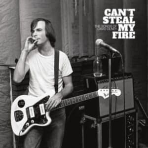 Various Artists - Can't Steal My Fire: The Songs Of D (LP)