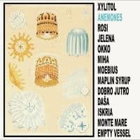 Xylitol - Anemones (LP)