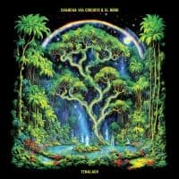 Chancha Via Circuito & El Búho - Tenalach (LP)