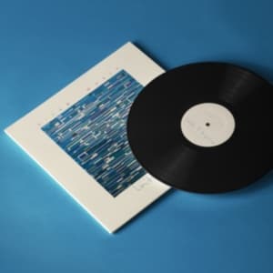 Field Music - Limits Of Language (LP)