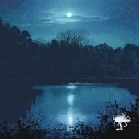 Planes Mistaken For Stars - Do You Still Love Me? (LP)