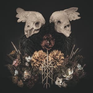 Black Birch - Black Birch (LP)