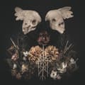 Miniatyrbild 1 av 2: Black Birch - Black Birch (LP)