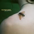 Miniatyrbillede 1 af 2: Palomino Blond - You Feel It Too (LP)