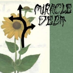 Miracle Debt - Under The Shadow (LP)