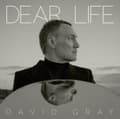 Miniatyrbild 2 av 2: David Gray - Dear Life (LP)