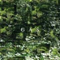 Pikkukuva 2 / 2: Gas - Der  Lange Marsch (LP)
