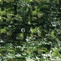 Pikkukuva 1 / 2: Gas - Der  Lange Marsch (LP)