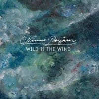 Ninni Poijärvi - Wild Is The Wind (LP)