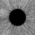 Miniatyrbild 2 av 2: Vola - Witness (LP)