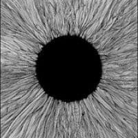 Vola - Witness (LP)