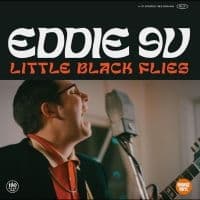 Eddie 9V - Little Black Flies (LP)