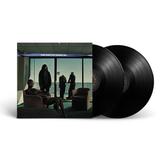 Skunk Anansie - Post Orgasmic Chill (LP)