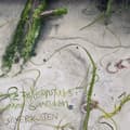 Miniatyrbild 1 av 2: Silverkulten - På Kollisionskurs Med Samtiden (LP)