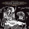 Pikkukuva 1 / 2: Okkervil River - Black Sheep Boy (LP)