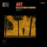 Ant - Collection Of Sounds Vol. 2 (Yellow (LP)