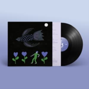 Bonnie 'Prince' Billy - The Purple Bird (LP)