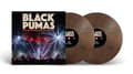 Miniatyrbillede 1 af 2: Black Pumas - Live From Brooklyn Paramount (LP)