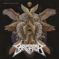 Miniatyrbild 2 av 2: Sarcator - Swarming Angels & Flies (LP)