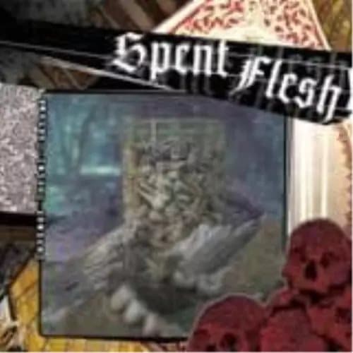 Spent Flesh Deviant Burial Customs Vinyl NEW New